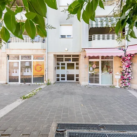 Matea With Terrace 아파트 자다르