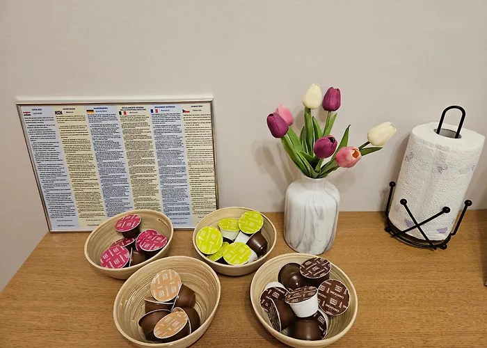 Apartament Matea With Terrace *